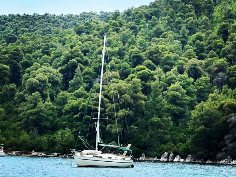Bavaria 38